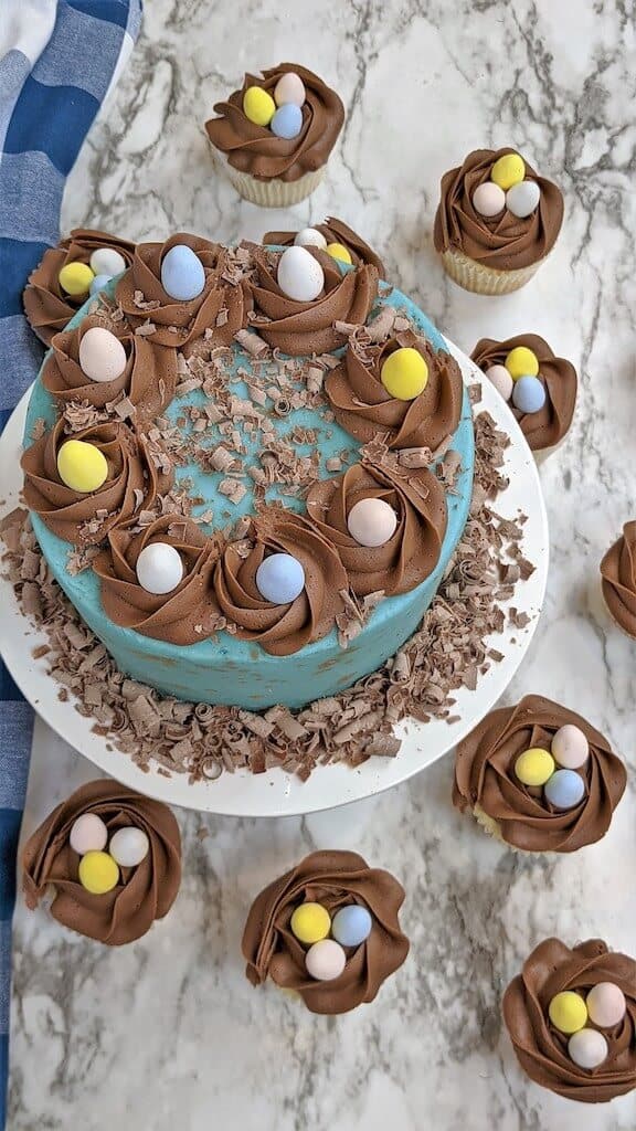 top down shot of finished cake with robins eggs
