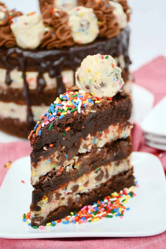 A piece of brownie chocolate chip cake with rainbow colored sprinkles.